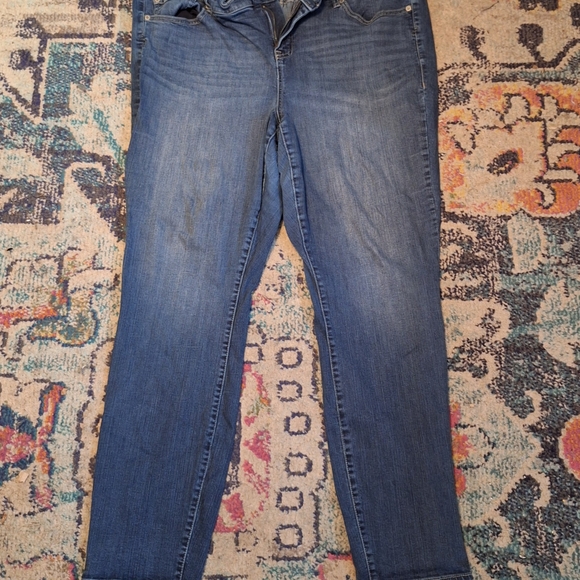 torrid Denim - torrid Women's Skinny Jeans - Medium Blue Wash sz 22W